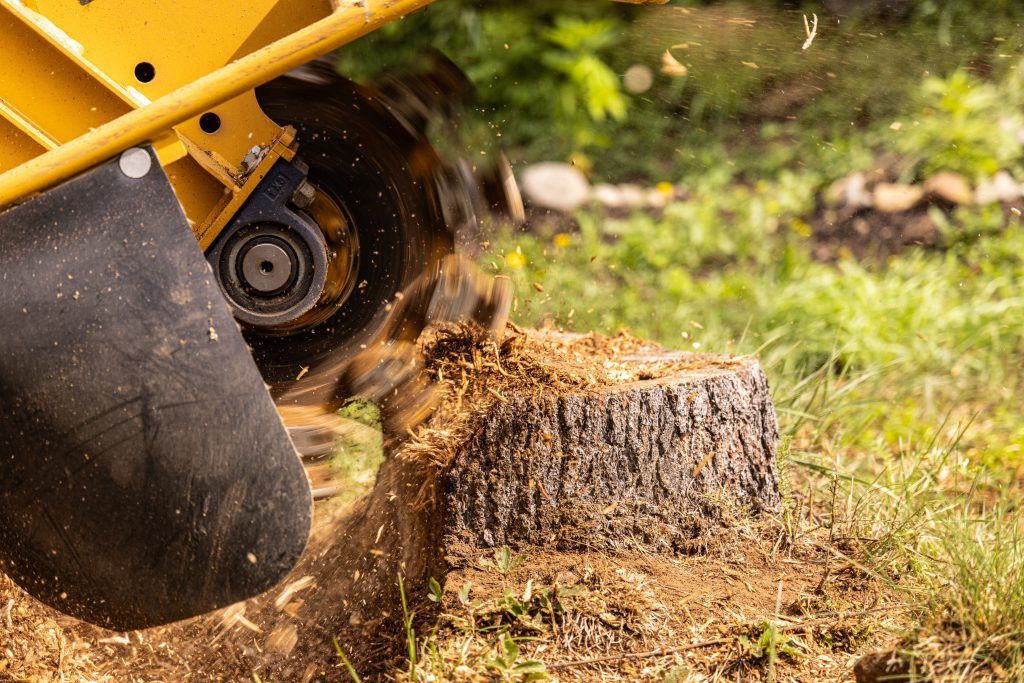Stubbenfräsen: Vorbereitung Schritt für Schritt