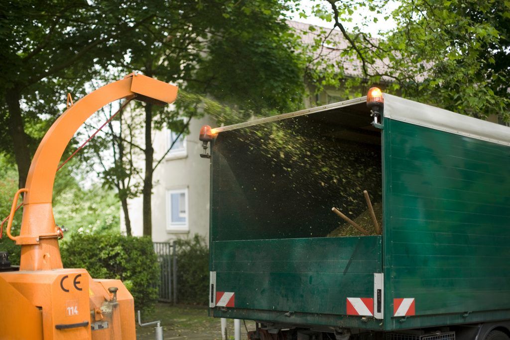 Baumfällung & Spezialfällung