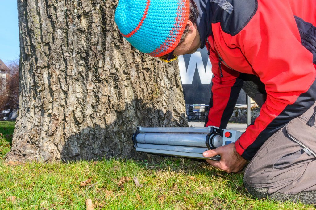 Baumschutz auf Baustellen & Wurzelsanierung